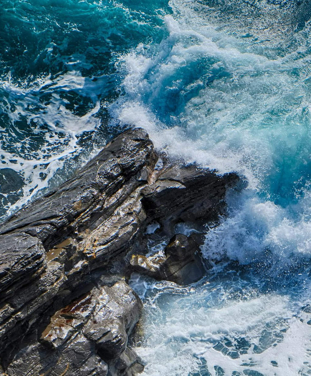 When land and sea meet, Ines supports the cause