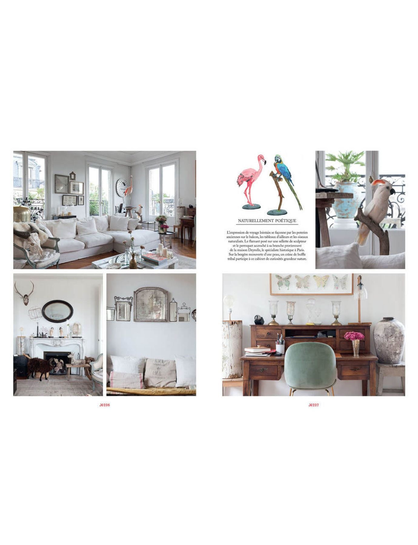 "Maison Parisian Chic At Home" Book in English