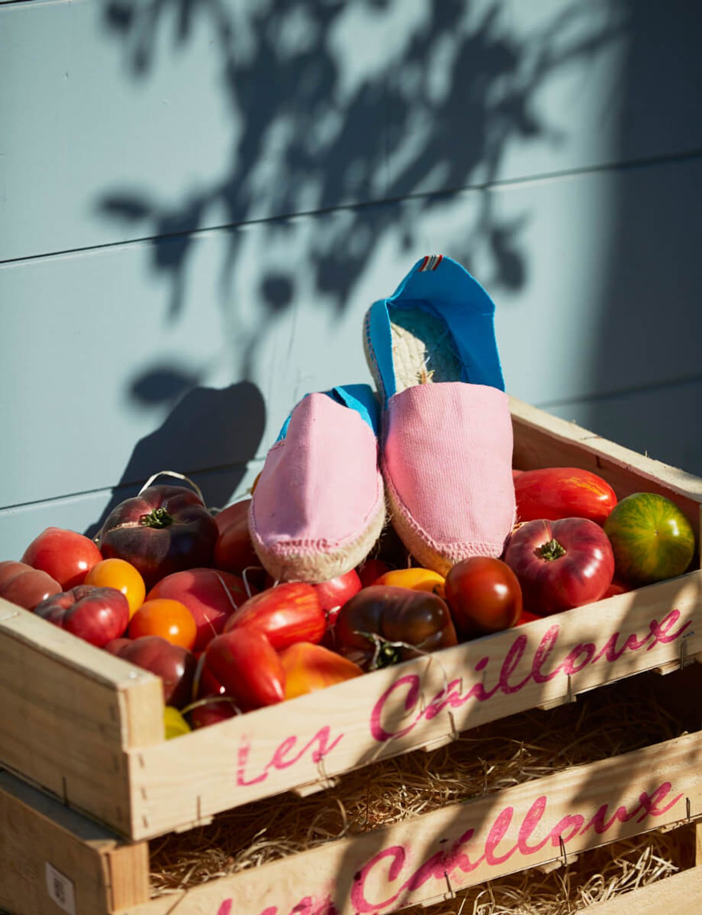 Aglae pink-turquoise espadrilles