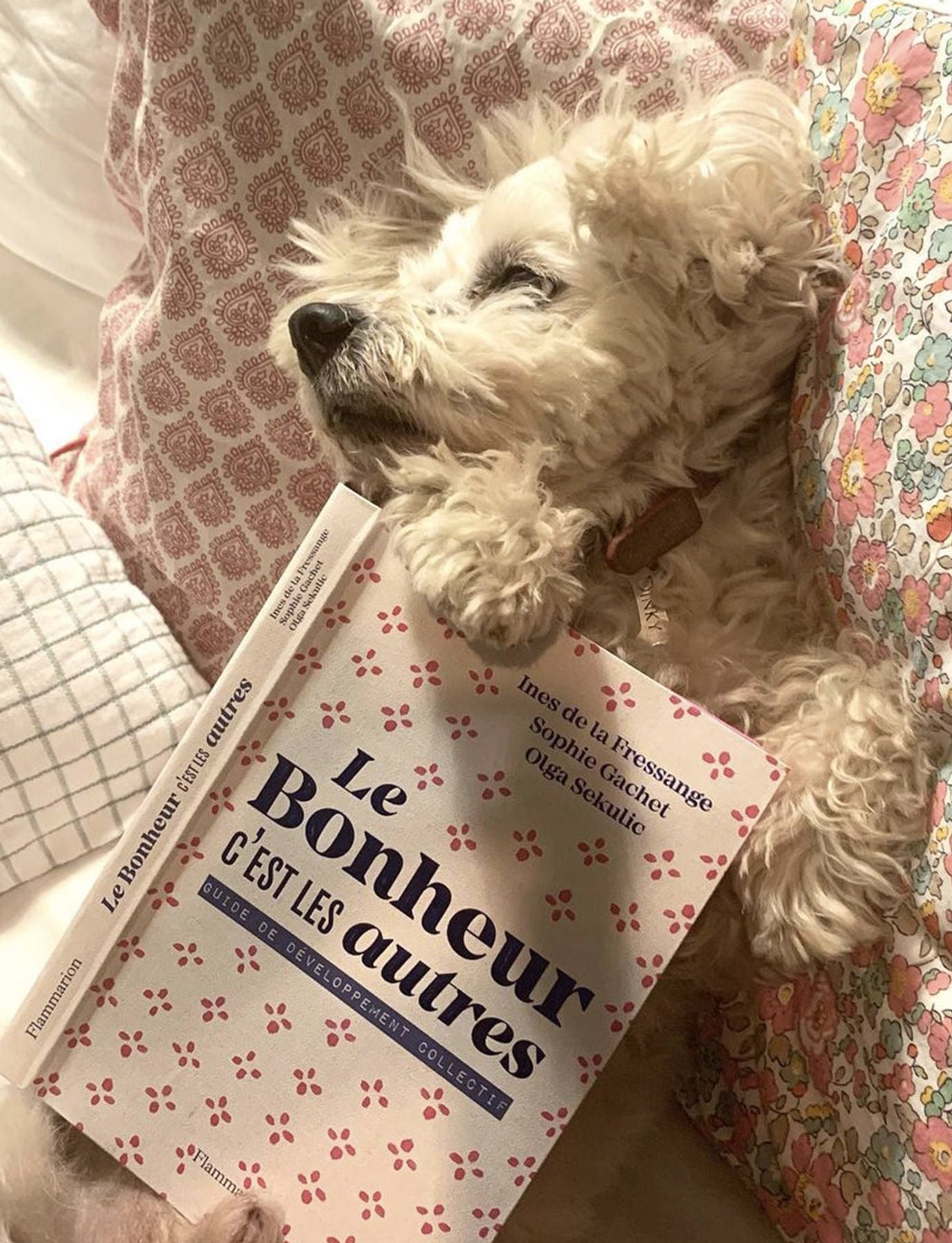 Book Le Bonheur c'est les autres