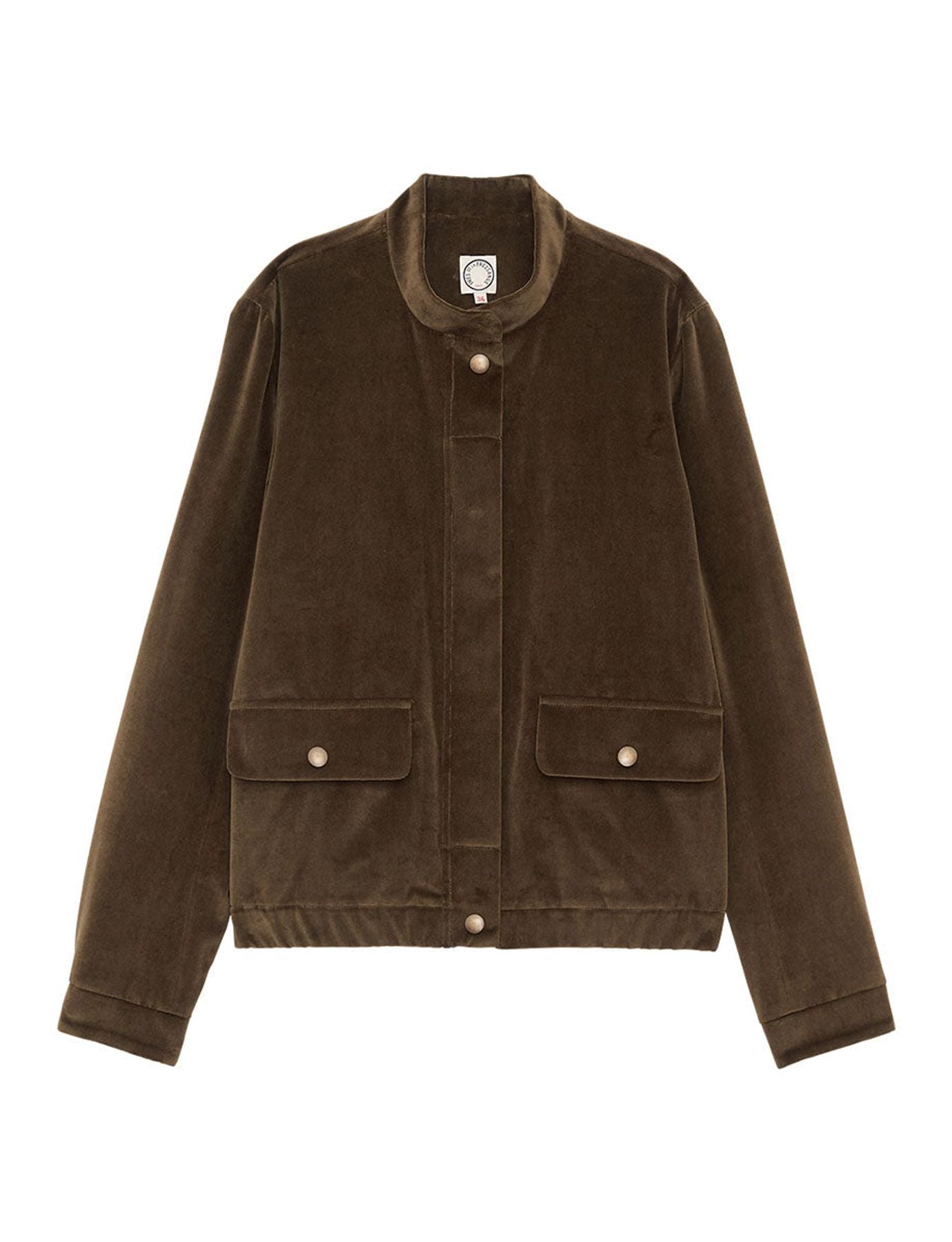 Chaqueta de terciopelo caqui Dino