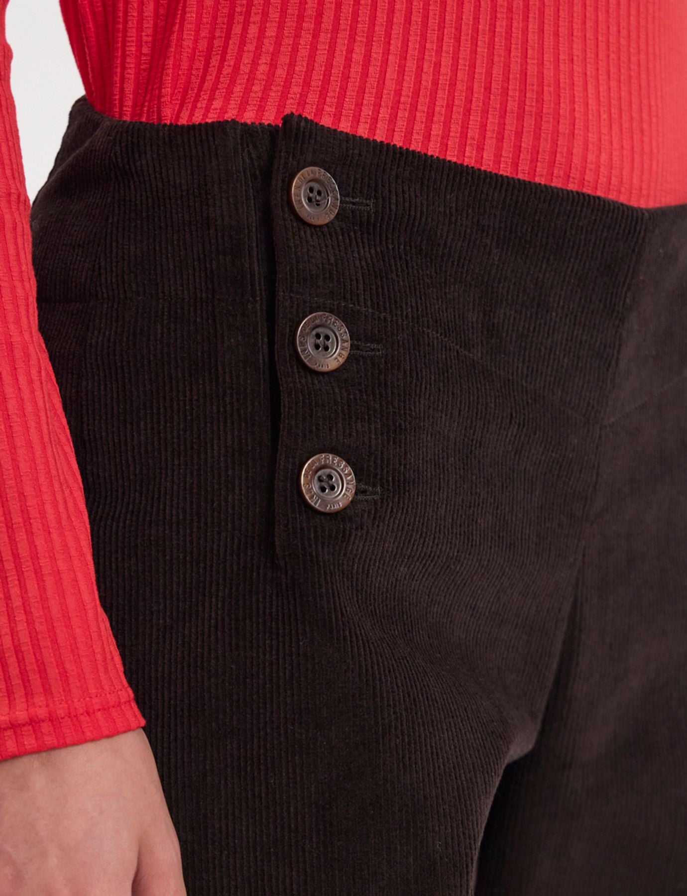 Gabriel pants in brown milleraie velvet