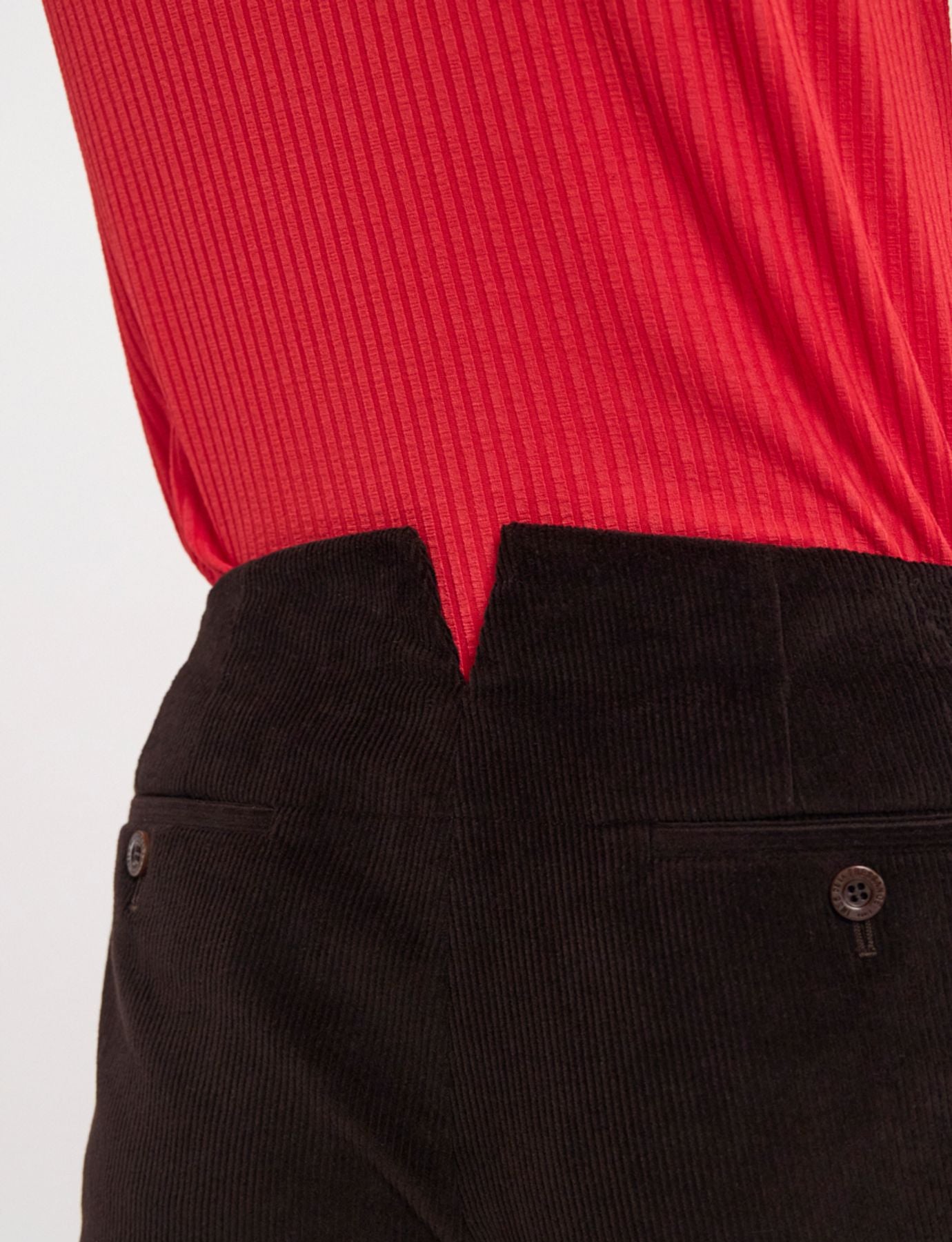 Gabriel pants in brown milleraie velvet